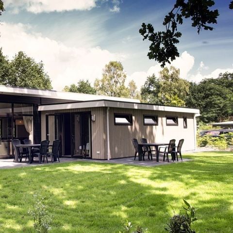 Park Berkenrhode - Camping Ede - Image N°4