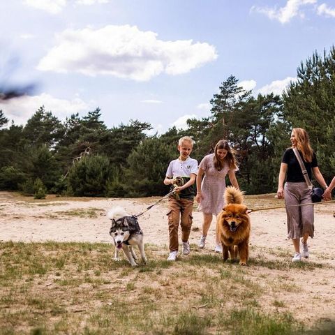 Park Berkenrhode - Camping Ede - Image N°3