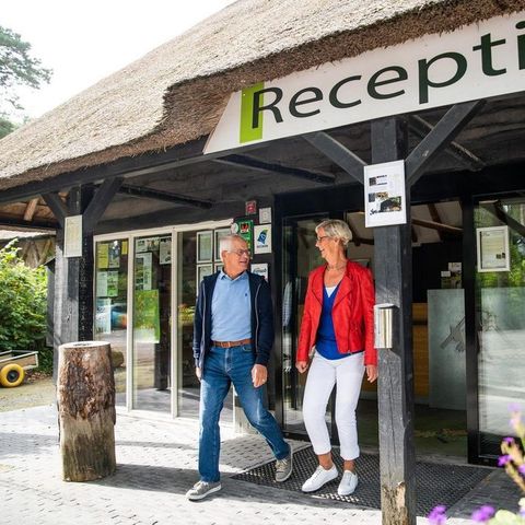 Vakantiepark De Norgerberg - Camping Noordenveld - Image N°5