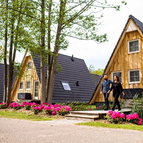 Hof van Salland - Camping Hellendoorn - Image N°3