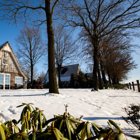 MAISON 6 personnes - Wellness Lodge XXL