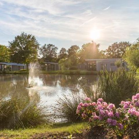 Landal Amerongse Berg - Camping Utrechtse Heuvelrug - Image N°2