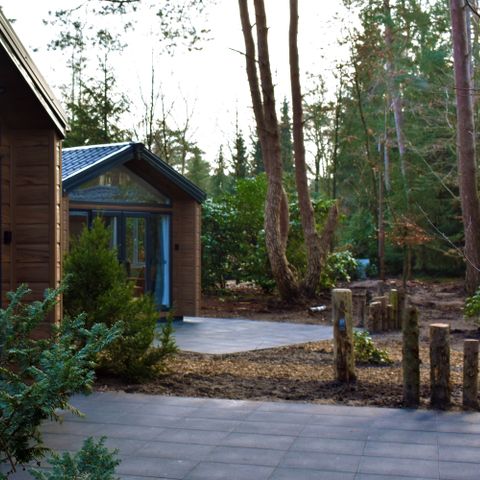 CHALET 4 personnes - Chalet forestier