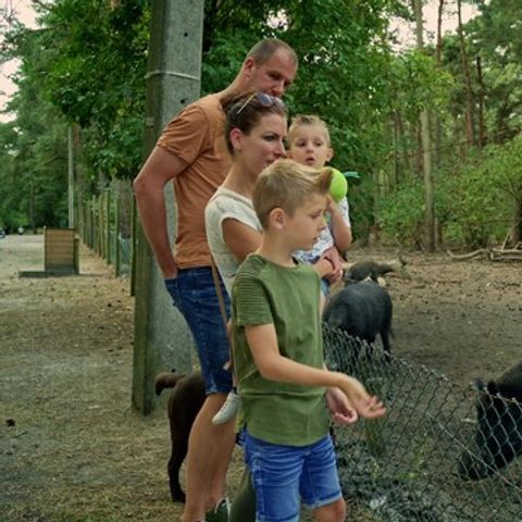 Park Molenheide - Camping Limburg Belge - Image N°6