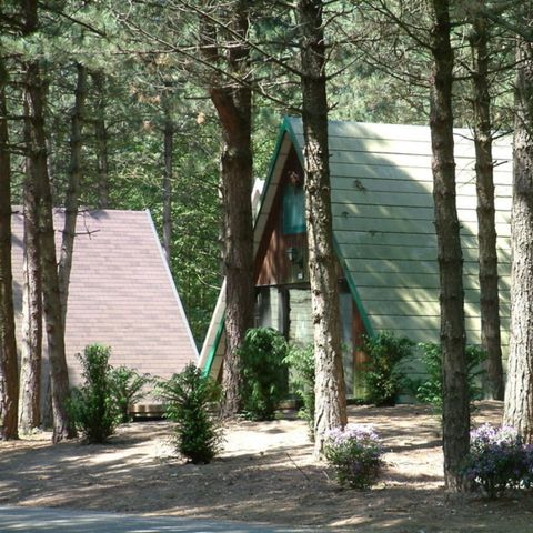 BUNGALOW 5 personnes - Heidehut Penta