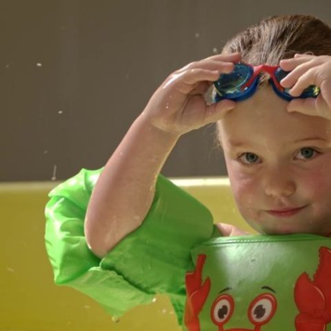 Park Molenheide - Camping Limburg Belge - Image N°5