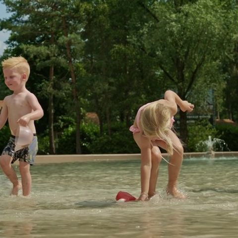 Park Molenheide - Camping Limburg Belge - Image N°3