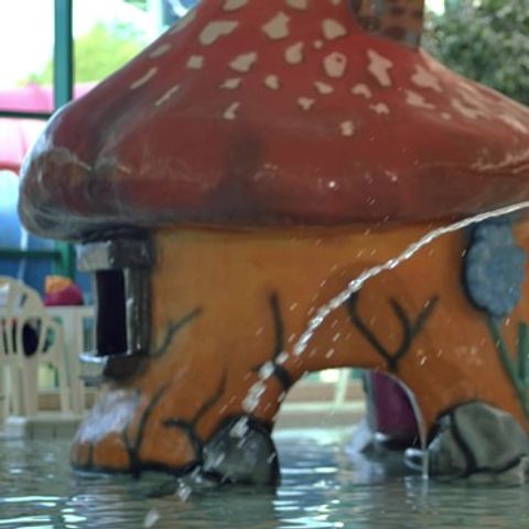 Park Molenheide - Camping Limburg Belge - Image N°4