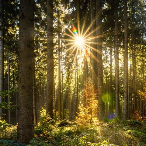 APPARTEMENT 7 personnes - Le Valjoly