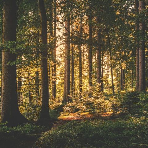 APPARTEMENT 7 personnes - Le Valjoly