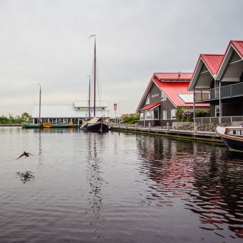 Roompot Terherne Haven - Camping Friesische Seen - Image N°6