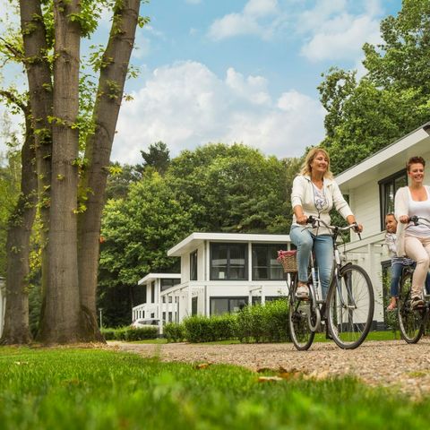 Landal Mooi Zutendaal - Camping Limburg Belge - Image N°4