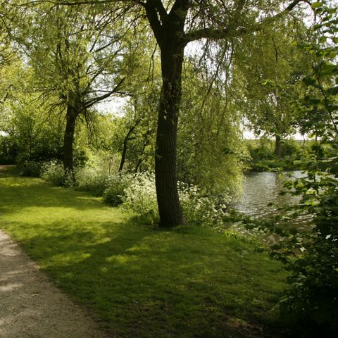 Holland Chalet Park Hensbroek - Camping Koggenland - Image N°6