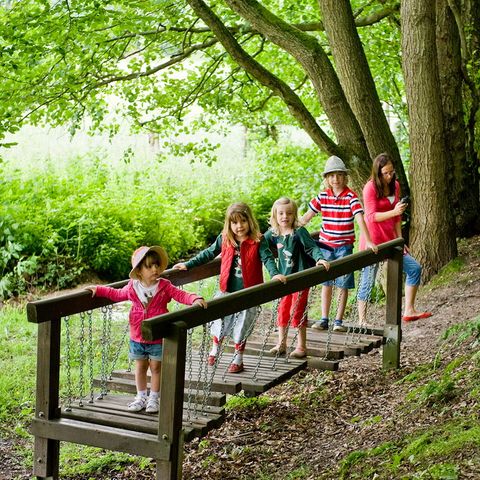 Ferienpark Ronshausen - Camping Hesse - Image N°5