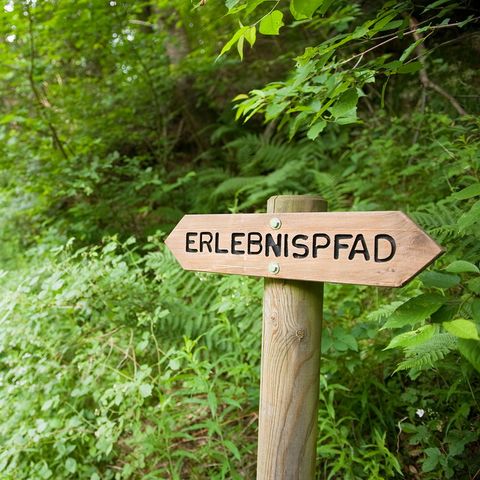 Ferienpark Ronshausen - Camping Hesse - Image N°4