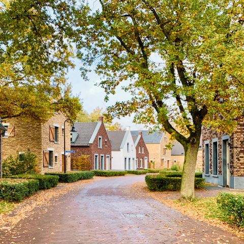 Dormio Resort Maastricht - Camping Maastricht - Image N°4