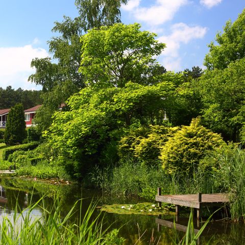 Summio Vakantiepark Emslandermeer - Camping Westerwolde - Image N°6