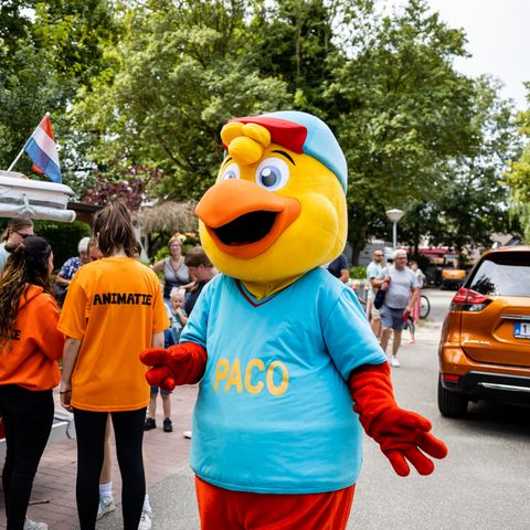 Recreatiecentrum de Vogel - Camping Hulst - Image N°4