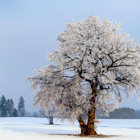 MAISON 6 personnes - 4+2 enfants DAN919