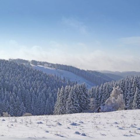 PanoramaPark St. Andreasberg - Camping Basse-saxe - Image N°3