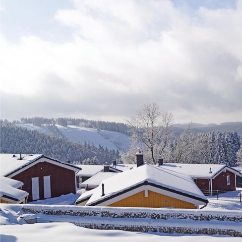 PanoramaPark St. Andreasberg - Camping Basse-saxe - Image N°2