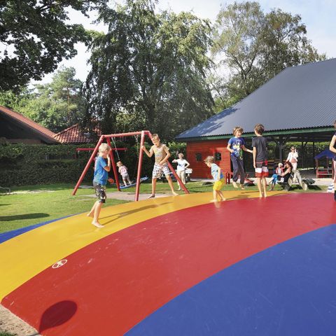 Vakantiepark De Lindenberg - Camping Rijssen-Holten - Image N°5