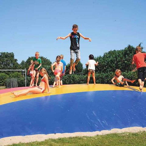 Vakantiepark De Lindenberg - Camping Rijssen-Holten - Image N°2