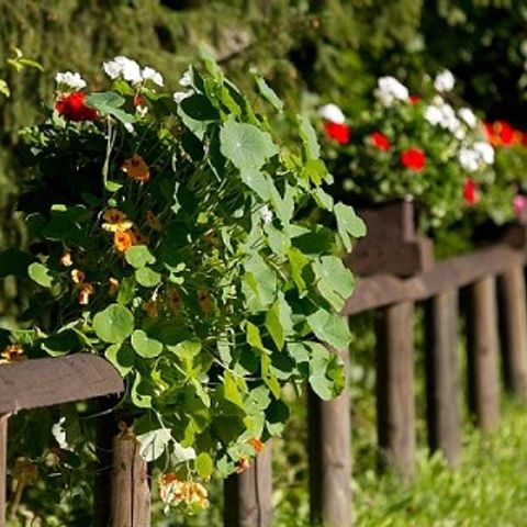 Feriendorf Reinskopf - Camping Rhénanie-Palatinat - Image N°2