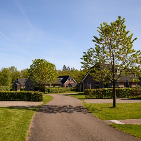 Summio Villaparc Schoonhovenseland - Camping Hoogeveen - Image N°3