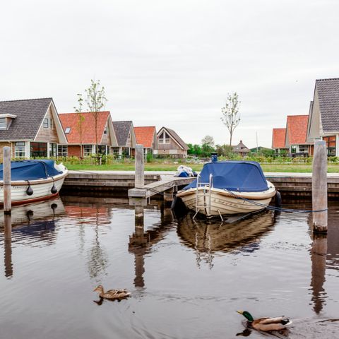 Landal Waterpark Terherne - Camping Friesische Seen - Image N°3