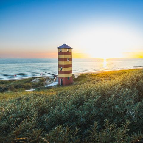 Landal Noordzee Résidence Dishoek - Camping Veere - Image N°4