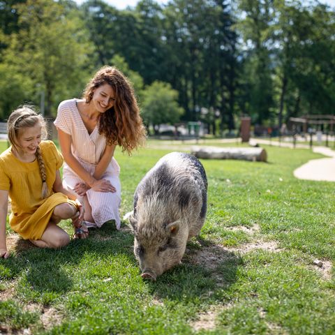 Center Parcs Les Ardennes - Camping Luxembourg - Image N°5