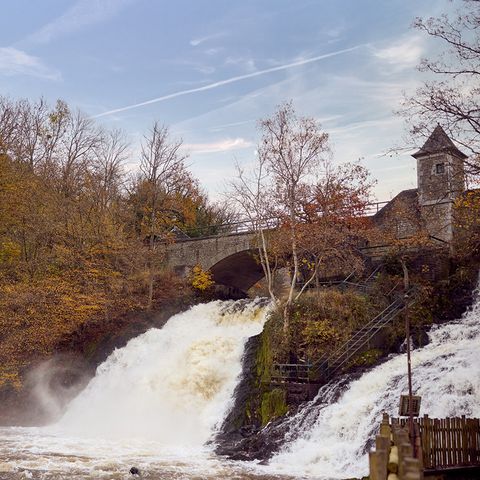 Center Parcs Les Ardennes - Camping Luxembourg - Image N°4