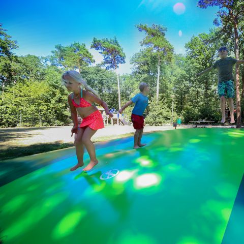 Vakantiepark Bonte Vlucht - Camping Utrechtse Heuvelrug - Image N°2