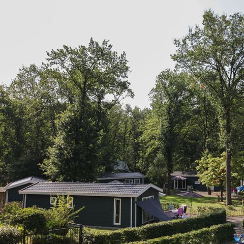 Vakantiepark Bonte Vlucht - Camping Utrechtse Heuvelrug - Image N°5