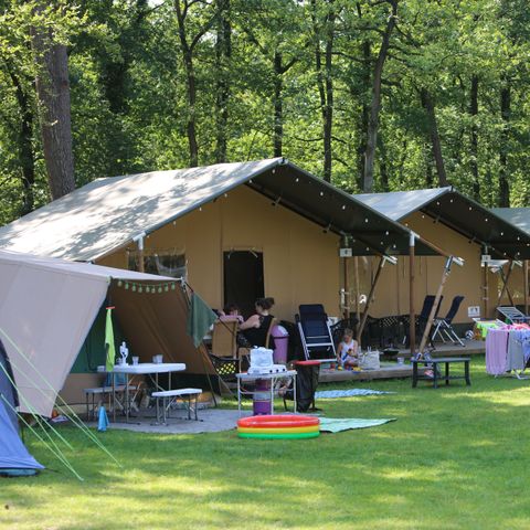 Vakantiepark Bonte Vlucht - Camping Utrechtse Heuvelrug - Image N°4