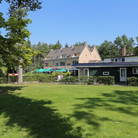 Vakantiepark Bonte Vlucht - Camping Utrechtse Heuvelrug - Image N°6