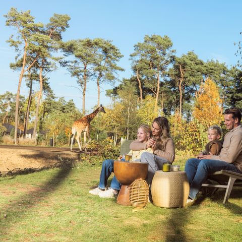 Safari Resort Beekse Bergen - Camping Hilvarenbeek - Image N°4