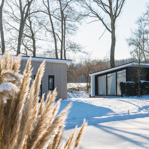 Vakantiepark De Lochemse Berg - Camping Lochem - Image N°6