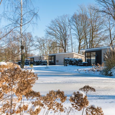 Vakantiepark De Lochemse Berg - Camping Lochem - Image N°5