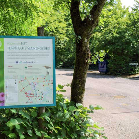 Camping Baalse Hei - Camping Anvers - Image N°6