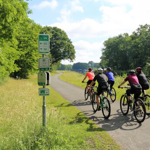 Camping Baalse Hei - Camping Anvers - Image N°4