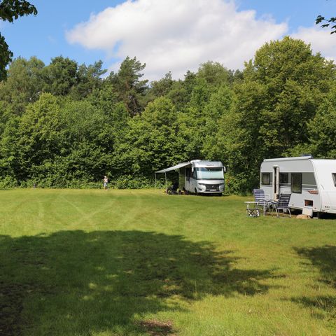 Camping Baalse Hei - Camping Anvers - Image N°5