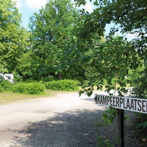 Camping Baalse Hei - Camping Anvers - Image N°4