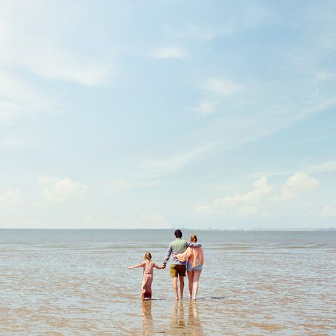 Center Parcs Park Nordseeküste - Camping Basse-saxe - Image N°6