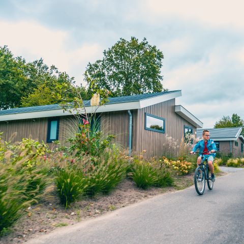 Tente 6 personnes - Glamping de luxe