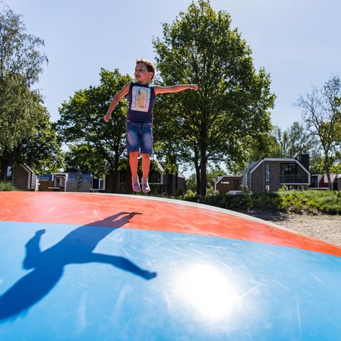 EuroParcs Zuiderzee - Camping Dronten - Image N°5