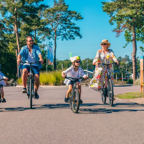 EuroParcs Zilverstrand - Camping Anvers - Image N°5