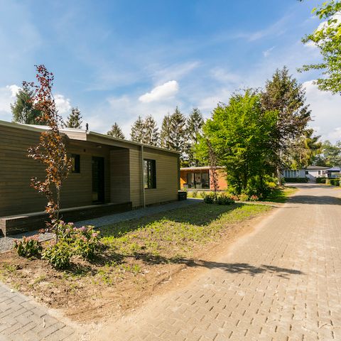 BUNGALOW 4 personnes - Forest Lodge Mikah