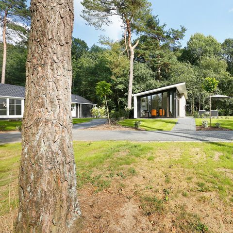 BUNGALOW 4 personnes - Forest Lodge